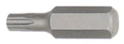 Licota BTX33060