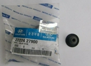 Hyundai-KIA 2222427900