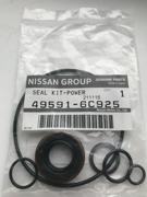 NISSAN 495916C925