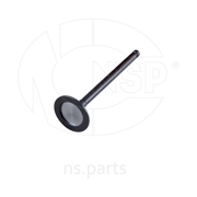 NSP NSP022221126600