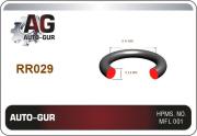 Auto-GUR RR029