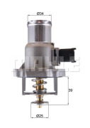 Mahle/Knecht TM55105