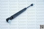 turkas S1894347N