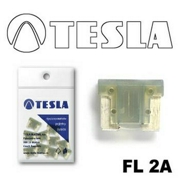 TESLA FL2A10 FL2A.10 Предохранители  10шт.