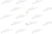 PATRON HS110025