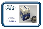 H&Q 1 * * * 9