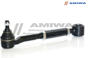 Amiwa 09351160