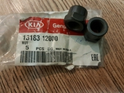 Hyundai-KIA 1 * * * 0