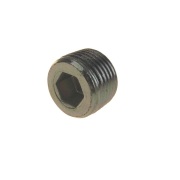 GAZ 296576П29