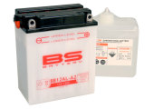 BS Battery 310564