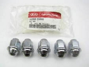 Hyundai-KIA 529502G000