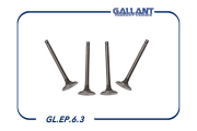 Gallant GLEP63