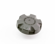 DOMINANT BW170117639020