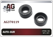 Auto-GUR AG370119