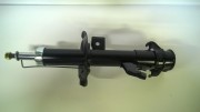DEQST 10SAFR0022000