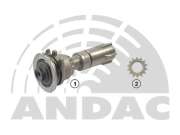 Andac 0 * * * 0