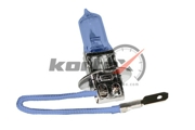 KORTEX K * * * 1