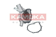 KAMOKA T0197