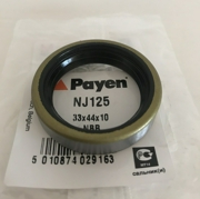Payen NJ125