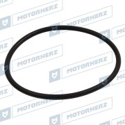 Motorherz HR0266