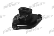 PATRON PSE4500