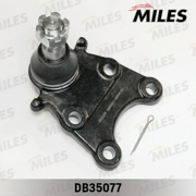 Miles DB35077