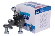 Finwhale BJ517
