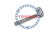 TORQUE CP006