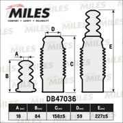 Miles DB47036