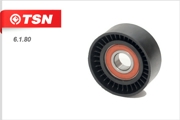 TSN 6180