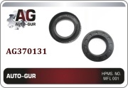 Auto-GUR AG370131