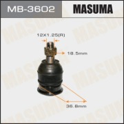 Masuma M * * * 2