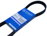 Globelt 6PK860