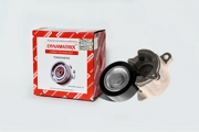 DYNAMATRIX-KOREA DT33019