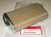 HONDA 17210MFGD02