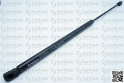 turkas S1894297N