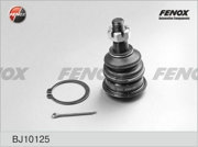 FENOX BJ10125