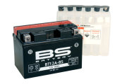 BS Battery 300602