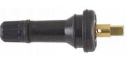 Auto-GUR TPMS20
