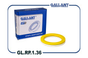 Gallant GLRP136