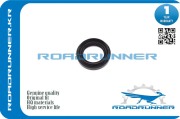 ROADRUNNER RR9031135019