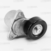 CARBERRY 55CA124
