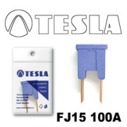 TESLA F * * * A