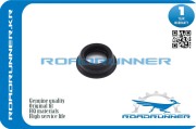 ROADRUNNER RRMD339118