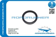 ROADRUNNER RRME202851