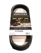 Dayco XTX5036