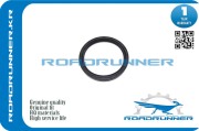 ROADRUNNER RR9031190008