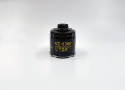 BIG FILTER GB1043