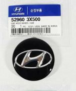 Hyundai-KIA 529603X500