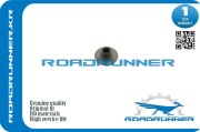 ROADRUNNER RR0K9BV12123